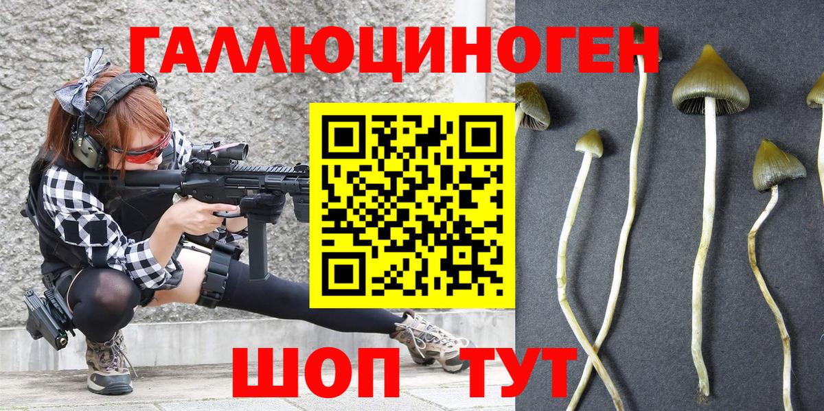 Краснокаменск  Псилоцибиновые грибы мицелий  закладки  Галлюциногенные грибы Magic Shrooms  Вход с VPN 